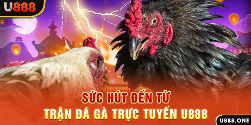 789win01 đá gà trực tiếp c1