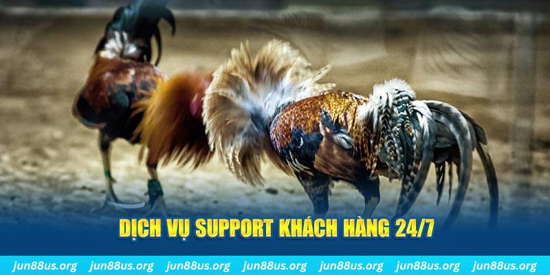 789win01 ÁT CHỦ BÀI GIÀNH LẤY ZHUANG NIUNIU ( XEM 4 LÁ )
