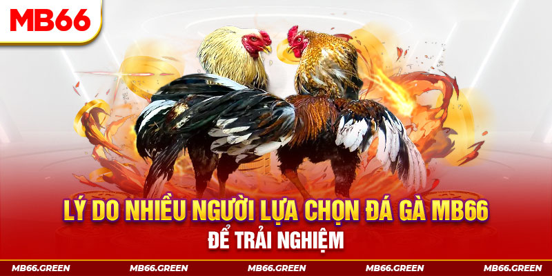 789win01 xổ số miền bắc thứ bảy hàng tuần