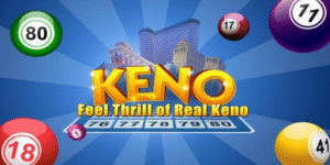 789win01 gà chọi c1 thomo