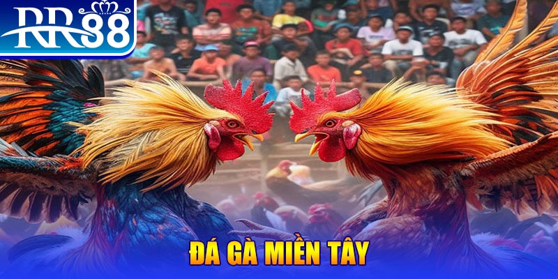 789win01 no hu doi thuong ai