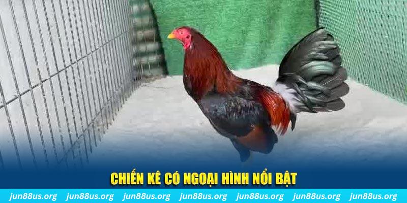 789win01 game nổ hũ là gì