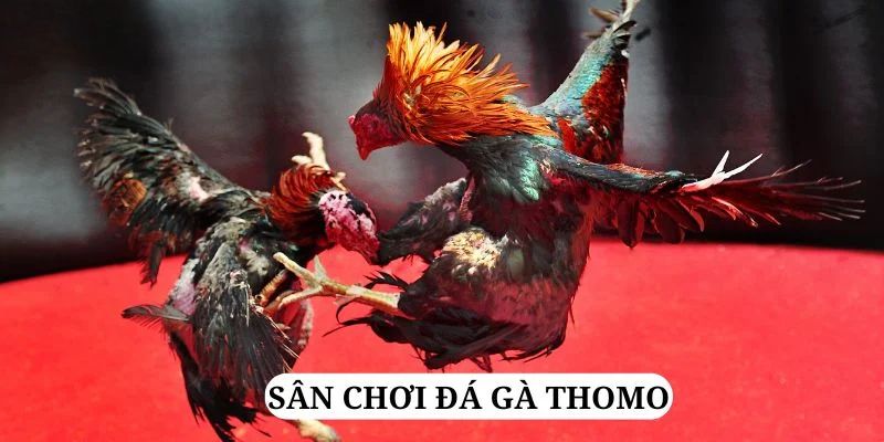 789win01 trực tiếp xổ số miền bắc